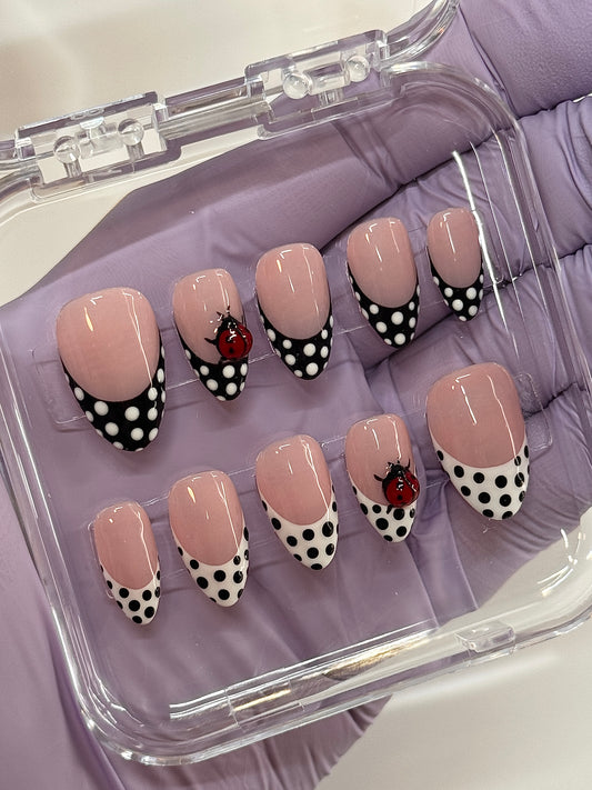 Lady Bug